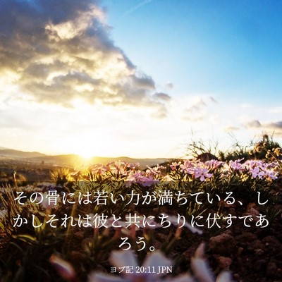 Picture 03 - ヨブ記 20:11 JPN - その骨には若い力が満ちている、し - Bible Verse Picture