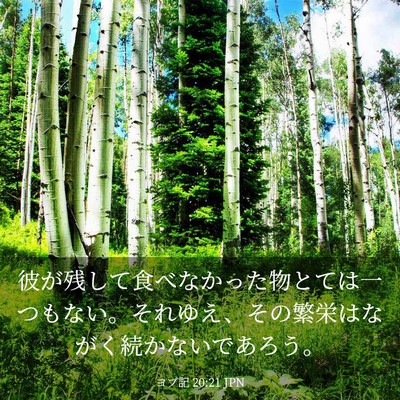 Picture 03 - ヨブ記 20:21 JPN - 彼が残して食べなかった物とては一 - Bible Verse Picture