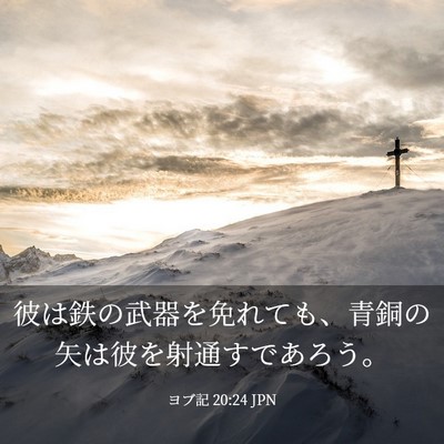 Picture 03 - ヨブ記 20:24 JPN - 彼は鉄の武器を免れても、青銅の矢 - Bible Verse Picture