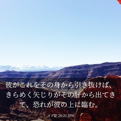 Picture 03 - ヨブ記 20:25 JPN - 彼がこれをその身から引き抜けば、 - Bible Verse Picture