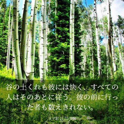 Picture 03 - ヨブ記 21:33 JPN - 谷の土くれも彼には快く、すべての - Bible Verse Picture