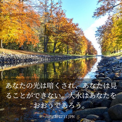 Picture 03 - ヨブ記 22:11 JPN - あなたの光は暗くされ、あなたは見 - Bible Verse Picture