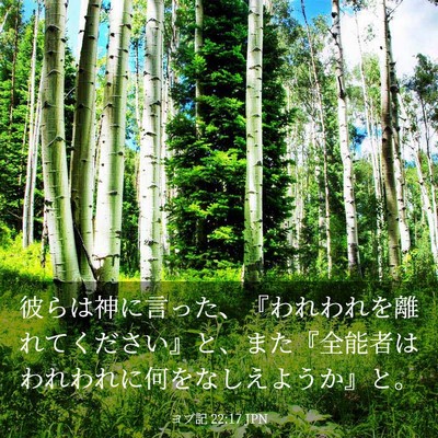 Picture 03 - ヨブ記 22:17 JPN - 彼らは神に言った、『われわれを離 - Bible Verse Picture