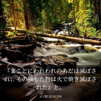 Picture 03 - ヨブ記 22:20 JPN - 『まことにわれわれのあだは滅ぼさ - Bible Verse Picture