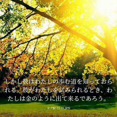 Picture 03 - ヨブ記 23:10 JPN - しかし彼はわたしの歩む道を知って - Bible Verse Picture