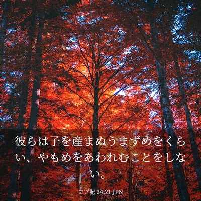 Picture 03 - ヨブ記 24:21 JPN - 彼らは子を産まぬうまずめをくらい - Bible Verse Picture