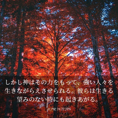 Picture 03 - ヨブ記 24:22 JPN - しかし神はその力をもって、強い人 - Bible Verse Picture