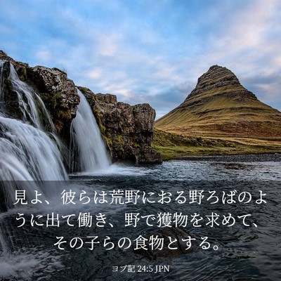 Picture 03 - ヨブ記 24:5 JPN - 見よ、彼らは荒野におる野ろばのよ - Bible Verse Picture