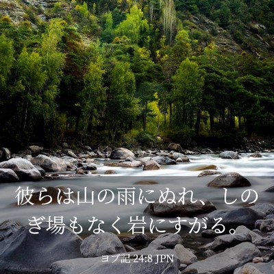Picture 03 - ヨブ記 24:8 JPN - 彼らは山の雨にぬれ、しのぎ場もな - Bible Verse Picture