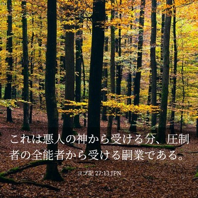 Picture 03 - ヨブ記 27:13 JPN - これは悪人の神から受ける分、圧制 - Bible Verse Picture