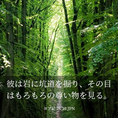 Picture 03 - ヨブ記 28:10 JPN - 彼は岩に坑道を掘り、その目はもろ - Bible Verse Picture