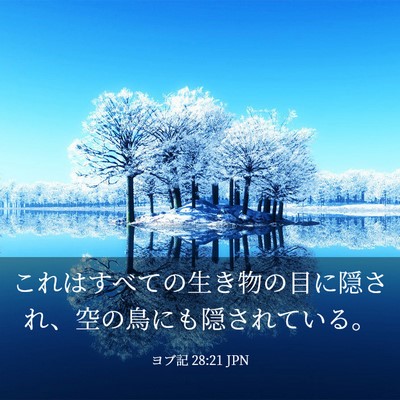 Picture 03 - ヨブ記 28:21 JPN - これはすべての生き物の目に隠され - Bible Verse Picture