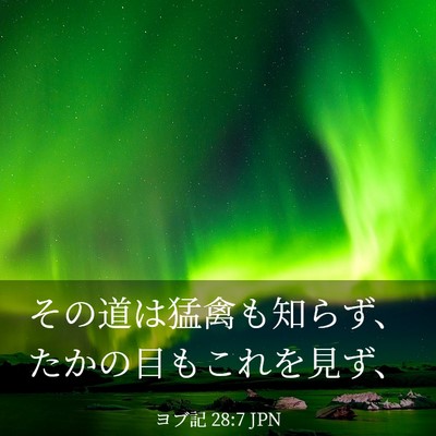 Picture 03 - ヨブ記 28:7 JPN - その道は猛禽も知らず、たかの目も - Bible Verse Picture