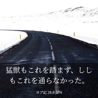 Picture 03 - ヨブ記 28:8 JPN - 猛獣もこれを踏まず、ししもこれを - Bible Verse Picture