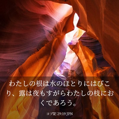 Picture 03 - ヨブ記 29:19 JPN - わたしの根は水のほとりにはびこり - Bible Verse Picture