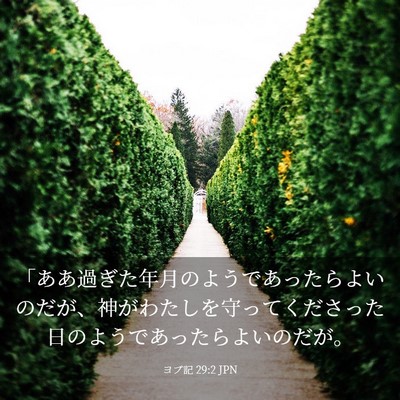 Picture 03 - ヨブ記 29:2 JPN - 「ああ過ぎた年月のようであったら - Bible Verse Picture