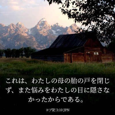 Picture 03 - ヨブ記 3:10 JPN - これは、わたしの母の胎の戸を閉じ - Bible Verse Picture