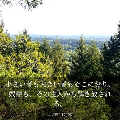 Picture 03 - ヨブ記 3:19 JPN - 小さい者も大きい者もそこにおり、 - Bible Verse Picture