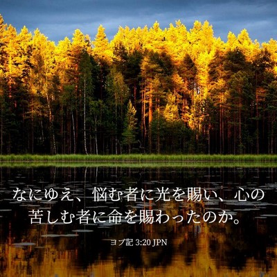 Picture 03 - ヨブ記 3:20 JPN - なにゆえ、悩む者に光を賜い、心の - Bible Verse Picture