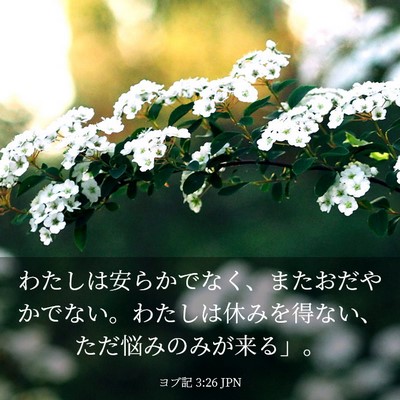 Picture 03 - ヨブ記 3:26 JPN - わたしは安らかでなく、またおだや - Bible Verse Picture