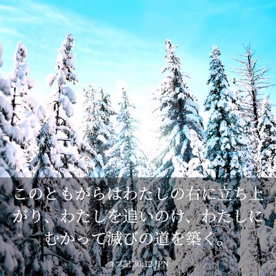 Picture 03 - ヨブ記 30:12 JPN - このともがらはわたしの右に立ち上 - Bible Verse Picture