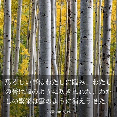 Picture 03 - ヨブ記 30:15 JPN - 恐ろしい事はわたしに臨み、わたし - Bible Verse Picture