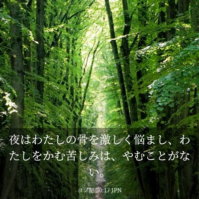 Picture 03 - ヨブ記 30:17 JPN - 夜はわたしの骨を激しく悩まし、わ - Bible Verse Picture