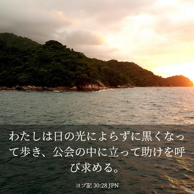 Picture 03 - ヨブ記 30:28 JPN - わたしは日の光によらずに黒くなっ - Bible Verse Picture