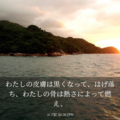 Picture 03 - ヨブ記 30:30 JPN - わたしの皮膚は黒くなって、はげ落 - Bible Verse Picture