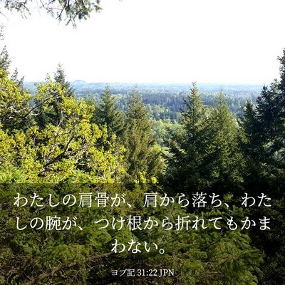 Picture 03 - ヨブ記 31:22 JPN - わたしの肩骨が、肩から落ち、わた - Bible Verse Picture
