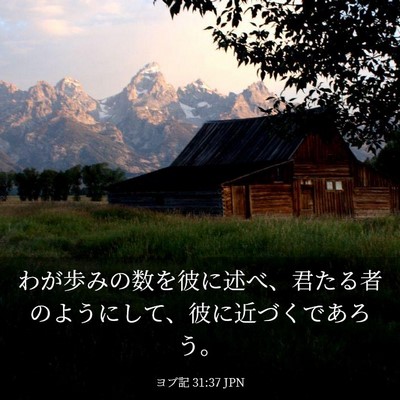 Picture 03 - ヨブ記 31:37 JPN - わが歩みの数を彼に述べ、君たる者 - Bible Verse Picture
