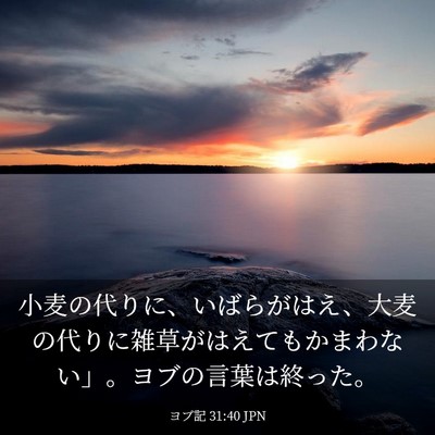 Picture 03 - ヨブ記 31:40 JPN - 小麦の代りに、いばらがはえ、大麦 - Bible Verse Picture