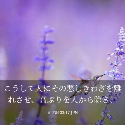 Picture 03 - ヨブ記 33:17 JPN - こうして人にその悪しきわざを離れ - Bible Verse Picture