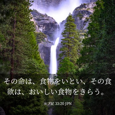 Picture 03 - ヨブ記 33:20 JPN - その命は、食物をいとい、その食欲 - Bible Verse Picture