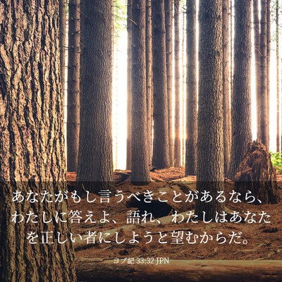 Picture 03 - ヨブ記 33:32 JPN - あなたがもし言うべきことがあるな - Bible Verse Picture