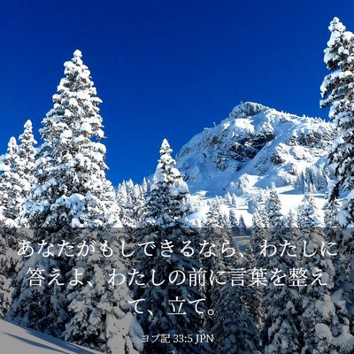 Picture 03 - ヨブ記 33:5 JPN - あなたがもしできるなら、わたしに - Bible Verse Picture