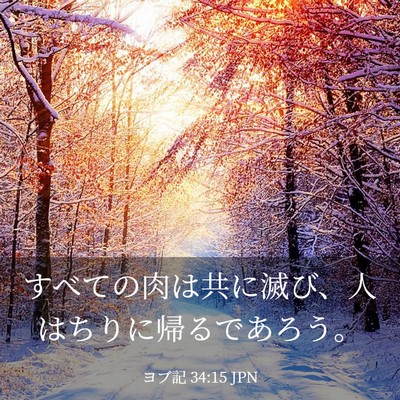Picture 03 - ヨブ記 34:15 JPN - すべての肉は共に滅び、人はちりに - Bible Verse Picture