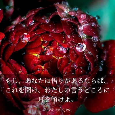 Picture 03 - ヨブ記 34:16 JPN - もし、あなたに悟りがあるならば、 - Bible Verse Picture