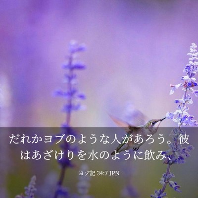 Picture 03 - ヨブ記 34:7 JPN - だれかヨブのような人があろう。彼 - Bible Verse Picture