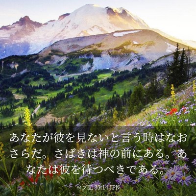 Picture 03 - ヨブ記 35:14 JPN - あなたが彼を見ないと言う時はなお - Bible Verse Picture