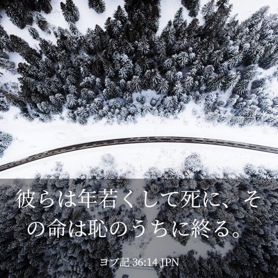 Picture 03 - ヨブ記 36:14 JPN - 彼らは年若くして死に、その命は恥 - Bible Verse Picture
