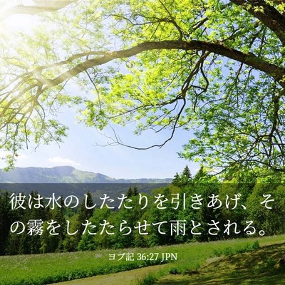 Picture 03 - ヨブ記 36:27 JPN - 彼は水のしたたりを引きあげ、その - Bible Verse Picture