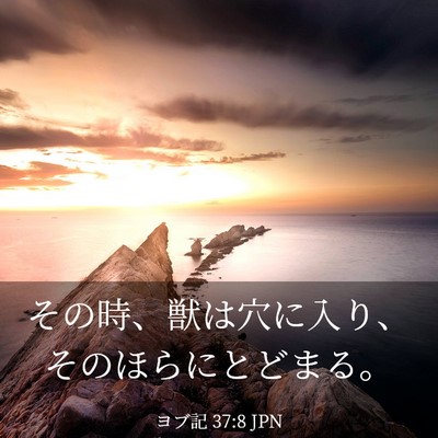 Picture 03 - ヨブ記 37:8 JPN - その時、獣は穴に入り、そのほらに - Bible Verse Picture