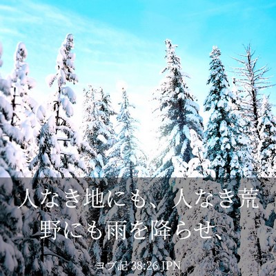 Picture 03 - ヨブ記 38:26 JPN - 人なき地にも、人なき荒野にも雨を - Bible Verse Picture