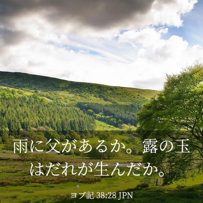 Picture 03 - ヨブ記 38:28 JPN - 雨に父があるか。露の玉はだれが生 - Bible Verse Picture