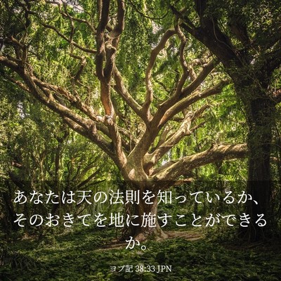 Picture 03 - ヨブ記 38:33 JPN - あなたは天の法則を知っているか、 - Bible Verse Picture