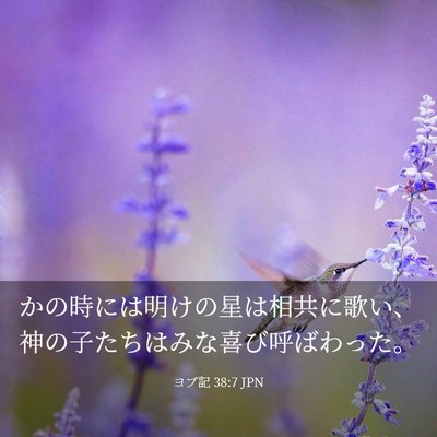 Picture 03 - ヨブ記 38:7 JPN - かの時には明けの星は相共に歌い、 - Bible Verse Picture