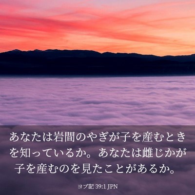 Picture 03 - ヨブ記 39:1 JPN - あなたは岩間のやぎが子を産むとき - Bible Verse Picture