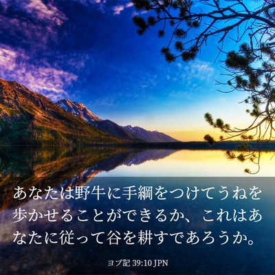 Picture 03 - ヨブ記 39:10 JPN - あなたは野牛に手綱をつけてうねを - Bible Verse Picture