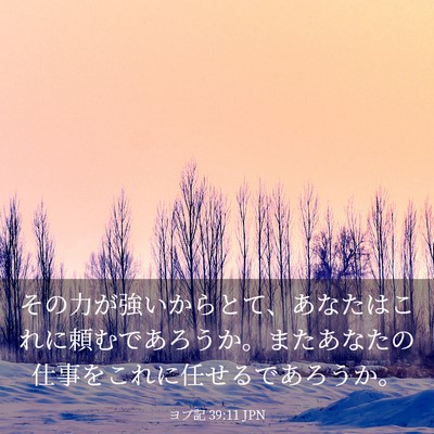 Picture 03 - ヨブ記 39:11 JPN - その力が強いからとて、あなたはこ - Bible Verse Picture
